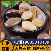 Inner Mongolia cobblestone rain flower stone fish tank flower pot goose soft stone raw stone natural small stone courtyard decoration colorful stone