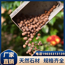Sichuan ceramsite bottom flower backfill bathroom paving stone special hydroponic granules for flower cultivation succulent soil terracotta granules