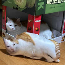 Ugly Cat Pillow Customized with Pictures DIY Internet Celebrity Ugly Cat No White Edge Pillow Case Special-shaped Cat Dog Pet Doll Pillow