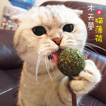 Su Shi Pet Cat Lollipop Mint Ball Toy Cat Toys Cat Clean Teeth Grinding Teeth Coming Cat Snacks