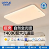 Op Lighting Led Extra-Large Ceiling Light for Living Room, Simple Self-Built House Villa 1.2m Lighting Fixtures, Bedroom Light, Study Room