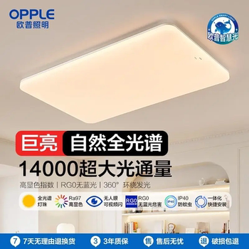 Op Lighting Led Extra-Large Ceiling Light for Living Room, Simple Self-Built House Villa 1.2m Lighting Fixtures, Bedroom Light, Study Room
