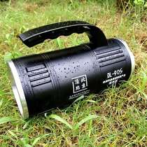 Pinnacle DL90S high power night fishing light night fishing light led work light H90