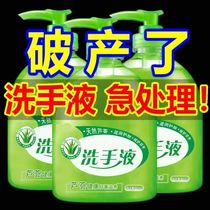 Active) Aloe Vera Hand Sanitizer Antibacterial Fragrance Type Adults and Children Anti-Dry Crack Gentle Household Wholesale
