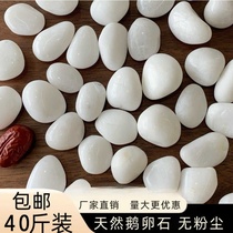 Shanghai white pebbles paving raw stone courtyard garden paving fish tank landscaping natural size pebbles