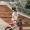 Topright Touareg Huy chương vàng Cân bằng Xe đạp Xe trượt ván Trượt ván Thể thao Bảo vệ mùa thu Mũ bảo hiểm - Smart Scooter