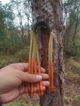 8-strand anti-freeze thickened rubber band round leather flat leather slingshot adult special rubber band plastic mens toy