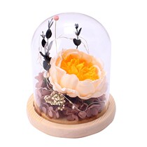 Valentines Day 520 Gift Lamp Glowing Glass Shade Eternal Flower Birthday Gift to Girlfriend Mothers Day Big Peony Hydrangea