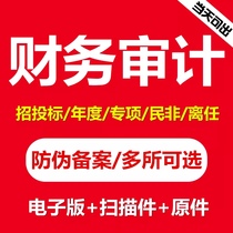 公司审计咨询年度报表清算离任年检审计企业投标财务报告咨询验资