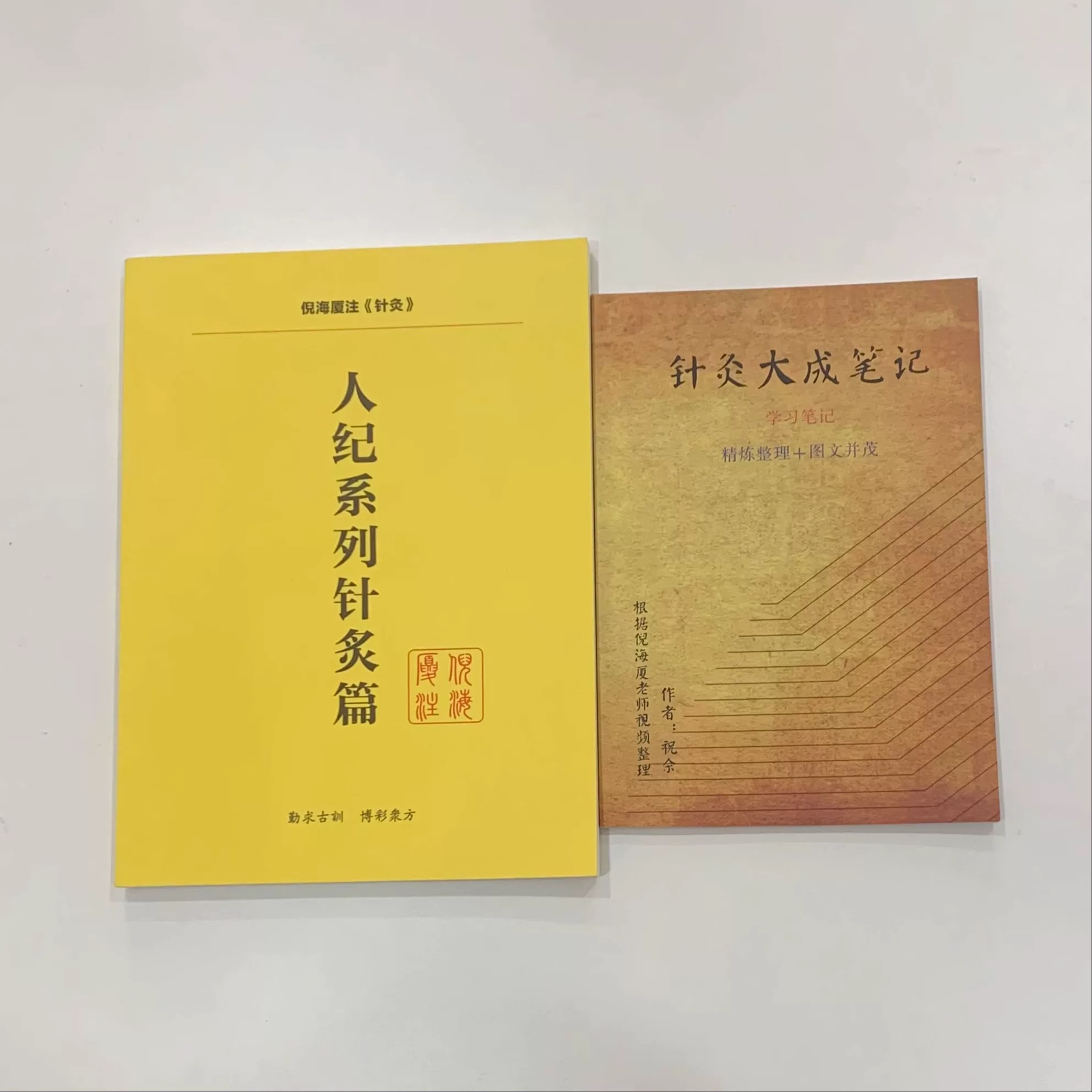 正版《倪海厦人纪系列针灸篇》+《针灸大成笔记》送视频！中医小
