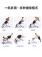 Roman Chair Goat Straight Chair Adjustable Gym Commercial Home Equipment Waist Training Tool