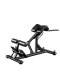 Roman Chair Goat Straight Chair Adjustable Gym Commercial Home Equipment Waist Training Tool