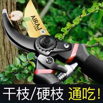 Germany imports Arrizo fruit tree pruning scissors thick branches labor-saving flower scissors garden gardening flower pruning branch scissors