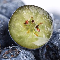 (Blueberry large fruit) fruit diameter 15-18mm picked now 8 boxes free 2 boxes free 10 boxes available