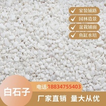 Guangxi cobblestones cobblestones cobblestones white pebbles polished white paving garden stone balcony courtyard