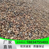 Shandong cobblestone Yuhua stone river pebble transformer 5-8 cm cobblestone river beach paving landscaping cobblestone