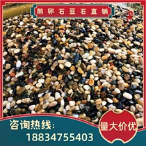 Zhejiang natural cobblestone stream stone fish tank bottom landscaping sand water tank swamp filter small pebbles native pimple stone