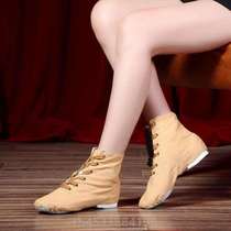 Practicing Kung Fu Childrens Body Shoes Adult Yogi Drum Dance% Jazz Dance Men And Women Modern Boots Shoes Ballet Soft Base Shoes