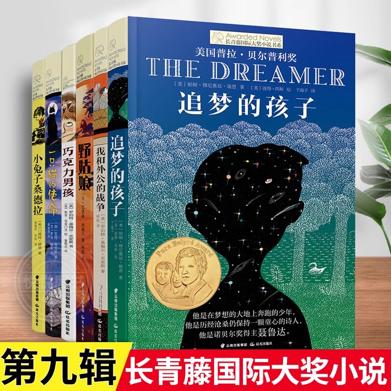 Evergreen International Award-Winning Novel Series, Volume 9, Complete Set of 6 Books: Wild Girl, Chocolate Boy, the Mission of a Cat, Children Chasing Dreams, Extracurricular Reading Books for Elementary School Students in Grades 3, 4, 5, and 6, Literature Stories for Ages 8-10-12, Jst
