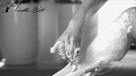 18.gif