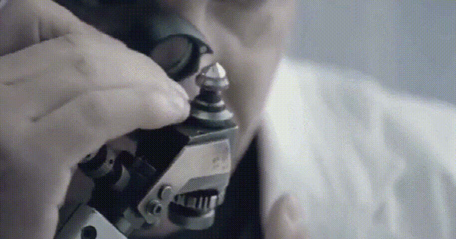20250809_160516_019.gif