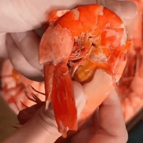 DM_20250911114954_014.gif