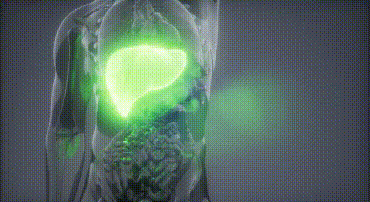 15.gif