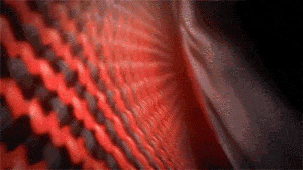 20251106_102207_051.gif
