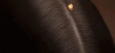 40.gif