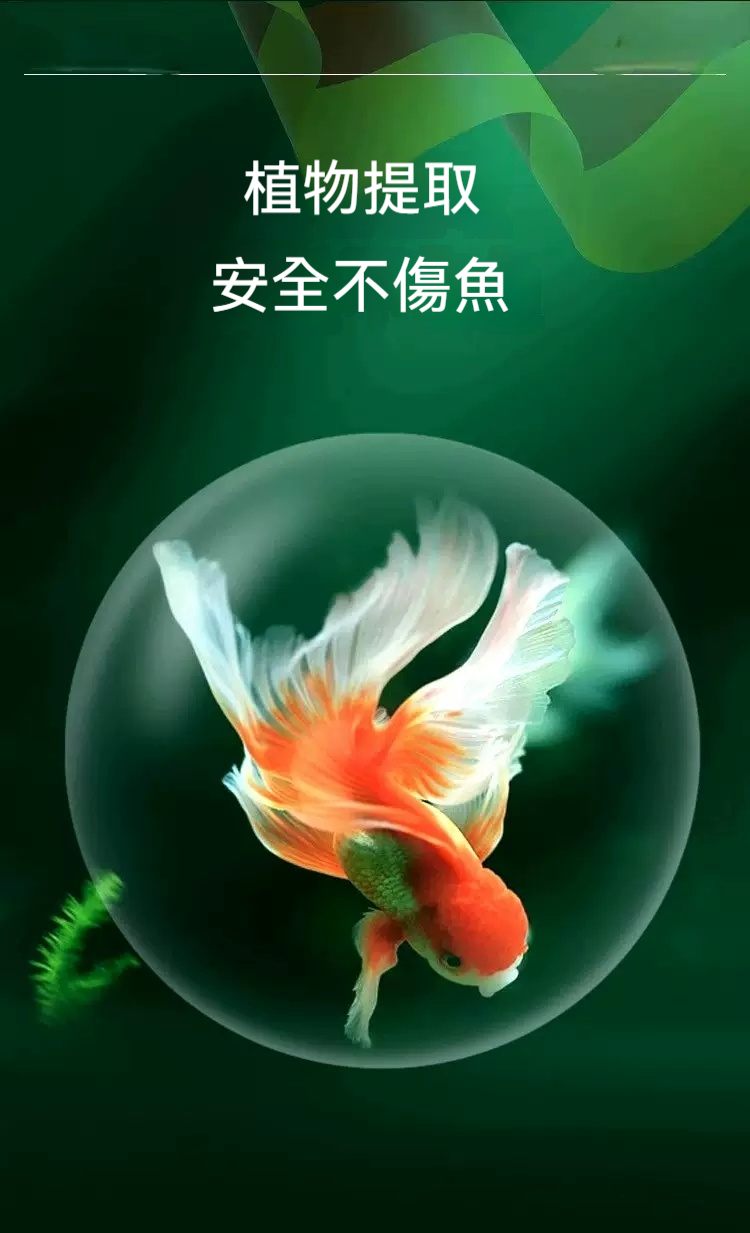 DM_20250811112900_027.jpg