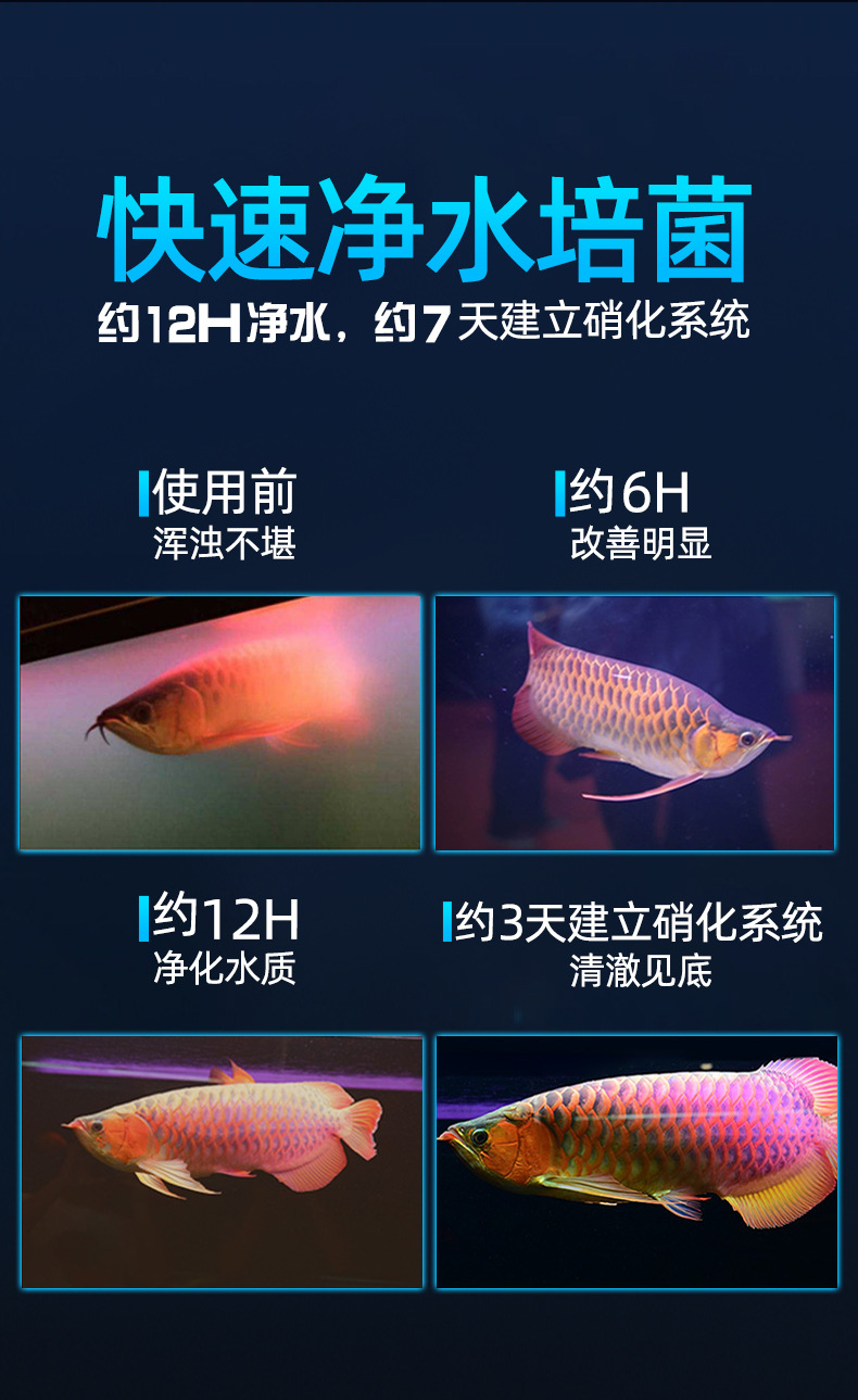 DM_20250811112900_014.jpg