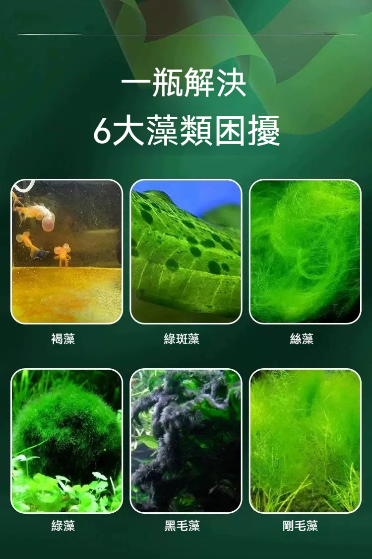 DM_20250811112900_019.jpg