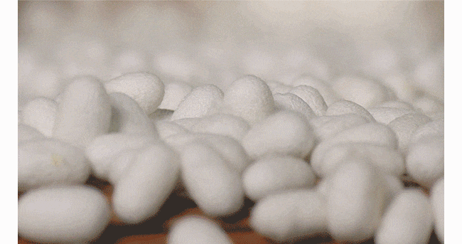 20250506_163106_032.gif