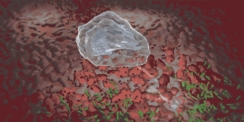 32.gif