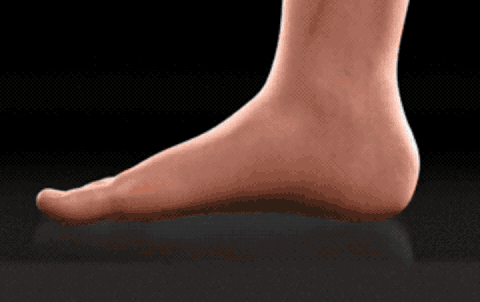 25.gif