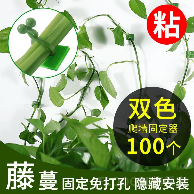 Green Plant Climbing Vine Fixer, Wall Climbing Plant Clip, Wall Traceless Hook, Sticky Rod, Gardening Support Tool