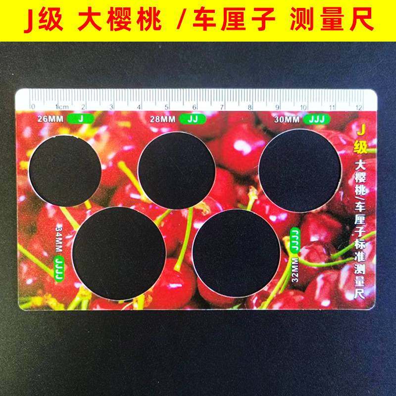 Cherry Measuring Ruler 🍇 🍓 Super handy! shandong cherry & blueberry fresh fruit grading tool ...