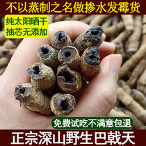 Authentic Morinda officinalis Chinese medicinal materials pure wild ready-to-eat steamed salt cooked Morinda officinalis nourishing soup and wine ingredients