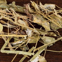 New arrival white flowers soybean herb Chinese herbal medicine fresh 500g asparagus northern soybean horse grass bitter pickle soybean grass