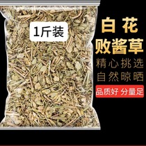 New arrival white flower pickle grass Chinese herbal medicine 500g fresh white pickle grass northern pickle grass horse grass bitter pickle grass pickle grass