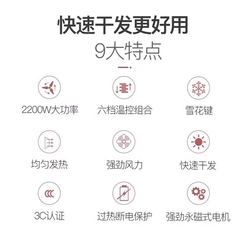 Пентиум для волос. Домохозяйство общежития для ухода за волосами для учащихся высокоскоростная мощная сушка для волос с высокой скоростью 2200 Вт
