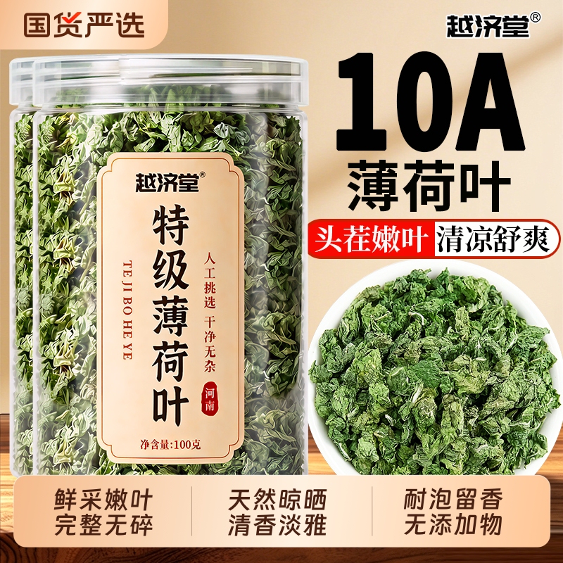 Premium Fresh Mint Leaves, Dried Mint Leaves for Making Tea, Herbal Medicine, Edible Cooling Tea, Flower Tea, New Tea Leaves