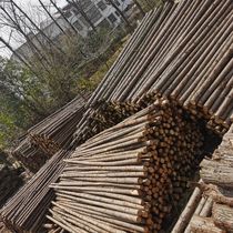 Pine pile driving larch fir pile log flood control slope protection greening support pole river wooden pile