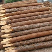 Slope protection project flood control fir wood piles flood control wood piles pine wood piles river piling wood log piles construction foundation