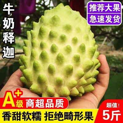 Фрукты Шакья Свежий вентилятор Litchi Fresh Fruit Milk Milk Pineapple Aneaple Fresh Secking High -End Импортируемые фруктовые товары 5 фунтов