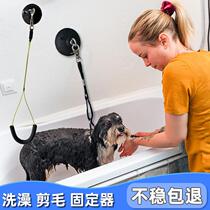 Cat anti-running rope dog shearing and grooming table sling pet shop special bathing holder with suction cup dog pile