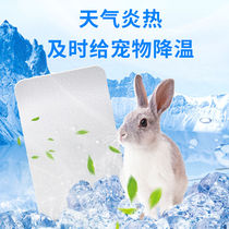 Pet summer cooling plate aluminum plate rabbit hamster chinchilla ice mattress custom insulation sheet summer cooling supplies