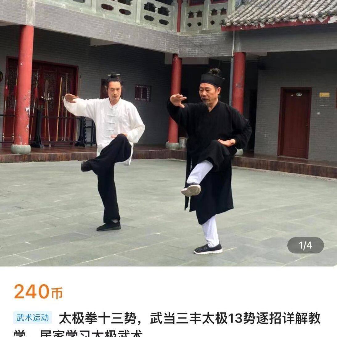 武当十三势太极- Top 100件武当十三势太极- 2026年6月更新- 淘宝Taobao
