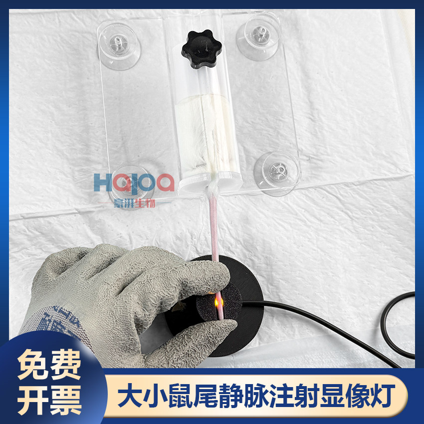 大鼠小鼠束缚限制吸盘固定器 透明小鼠尾静脉注射显像灯 可开发票