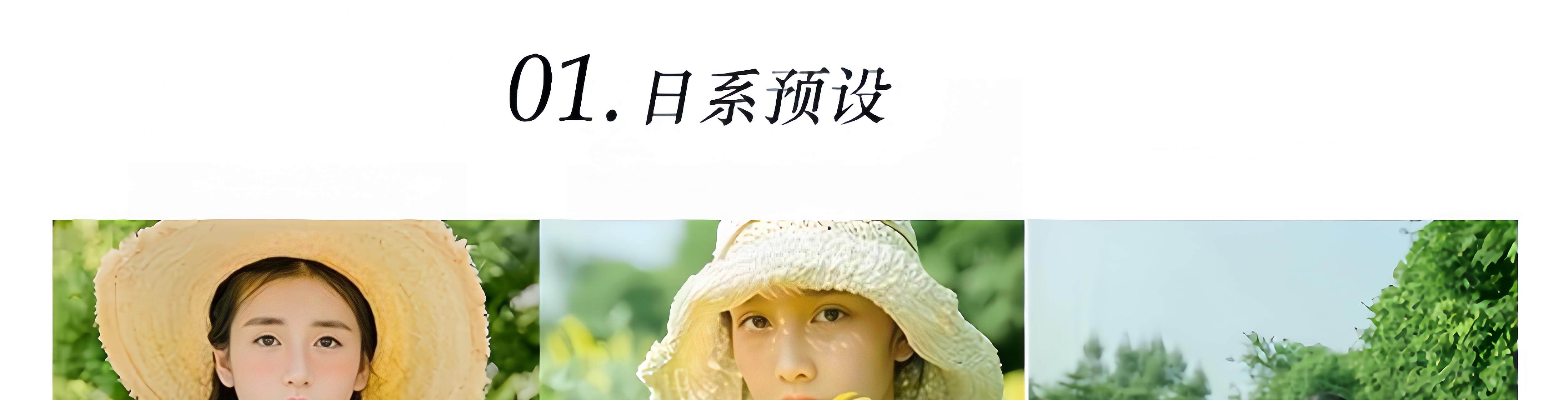 LR预设PS滤镜插件PR调色手机Lightroom达芬奇FCPX剪映LUT日系人像